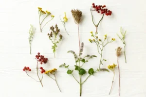 wildflowers displayed on a board