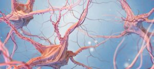 neurons-and-nervous-system
